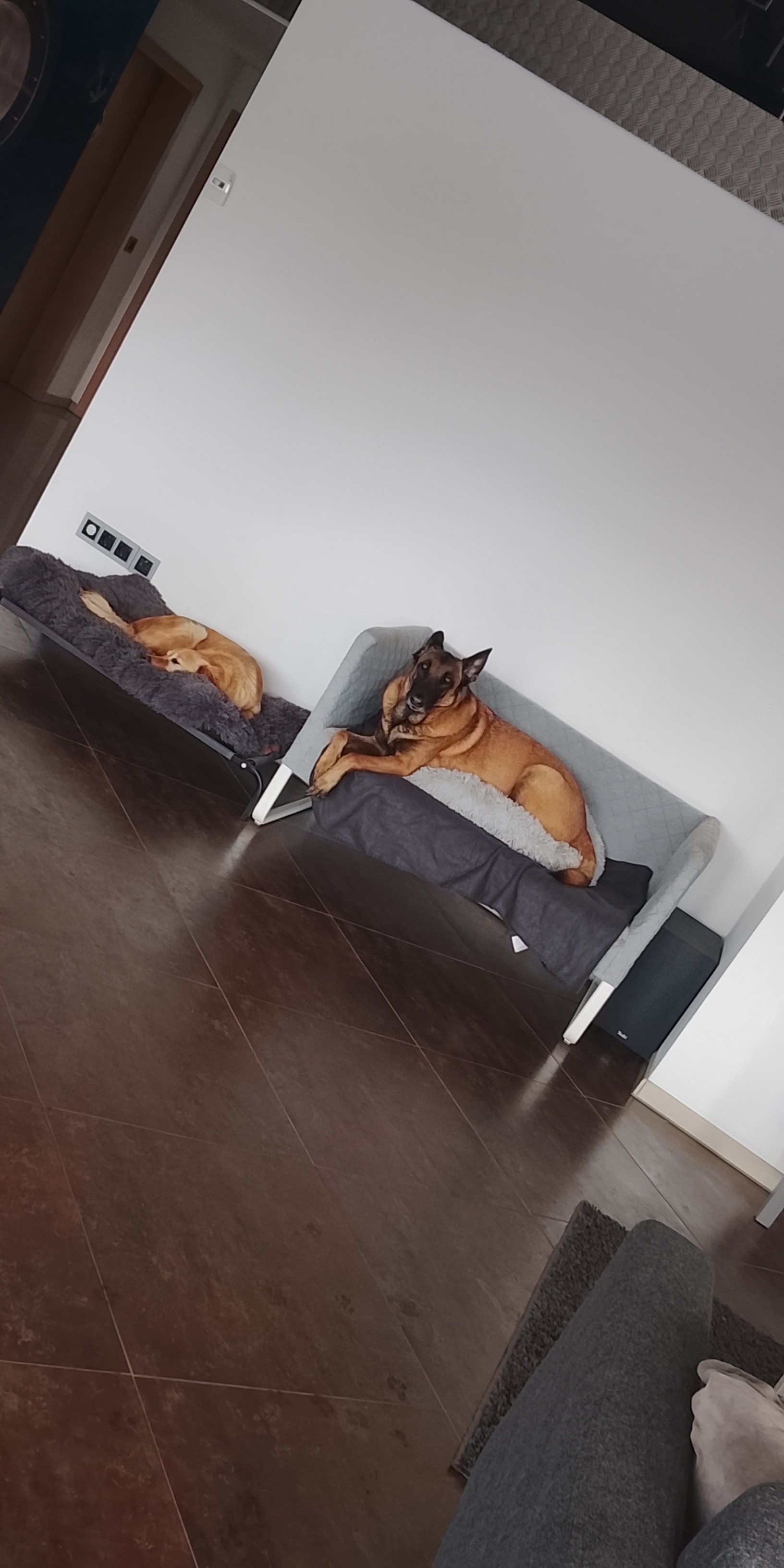 Die richtige Betreuung macht den Unterschied