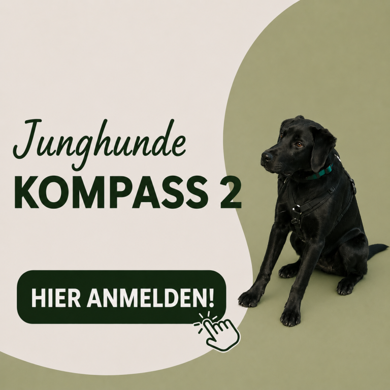 Start des nächsten Junghundekurs 1 in Braunschweig