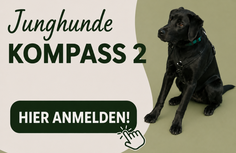 Anmeldung zum nächsten weiterführenden Junghundekurs in Braunschweig