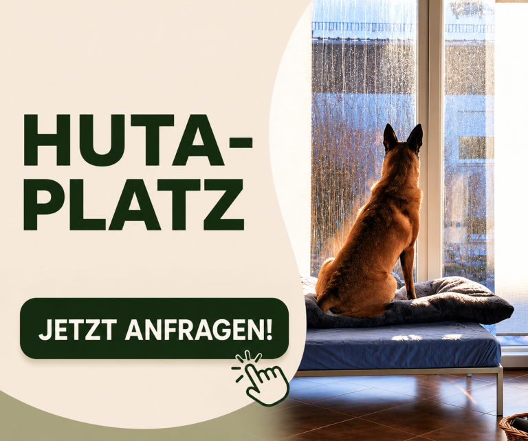 Ein Hund schaut aus dem Fenster auf regnerisches Wetter. Text: "Hutaplatz, jetzt anfragen!"