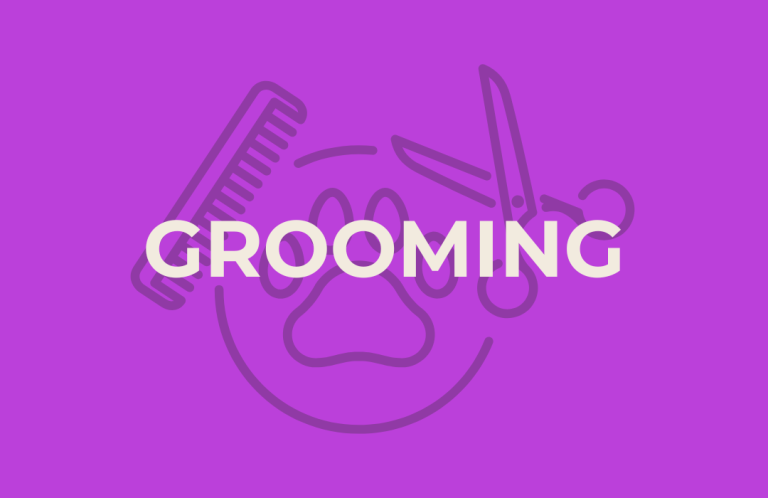 Hundezubehör im Canium Hundezentrum