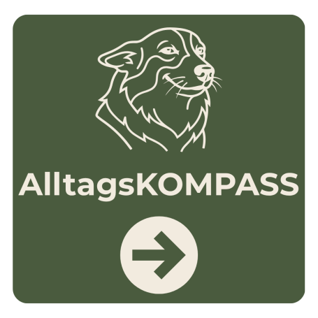 Unser AlltagsKOMPASS ist eine offene Gruppe mit wechselndem Angebot