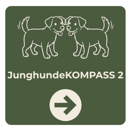 JunghundeKOMPASS 2 unsere Erweiterung zum Junghundekurs in Braunschweig