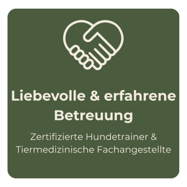 Hand mit Herzsymbol, Text über tiergestützte Betreuung und zertifizierte Trainer.