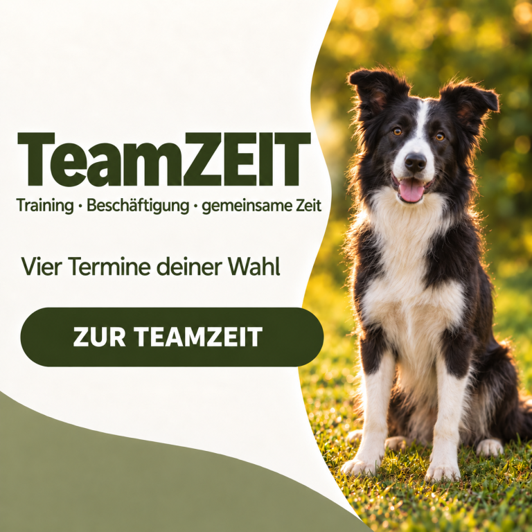 Offene Hundegruppe in Braunschweig