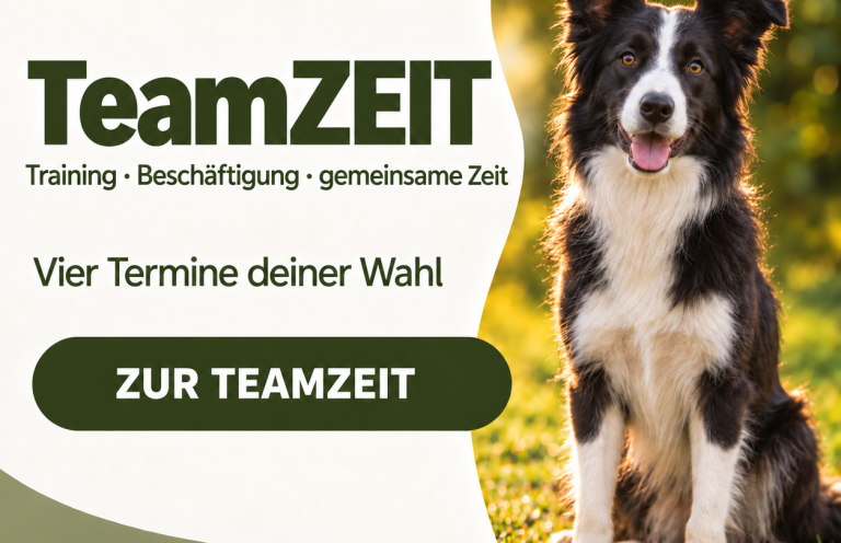 Anmeldung zum nachten Welpenkurs in Braunschweig