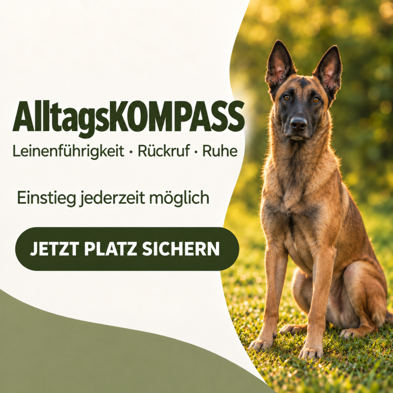 Anzeige für den Kurs "Junghunde Kompass 2" mit Daten und Anmeldelink.