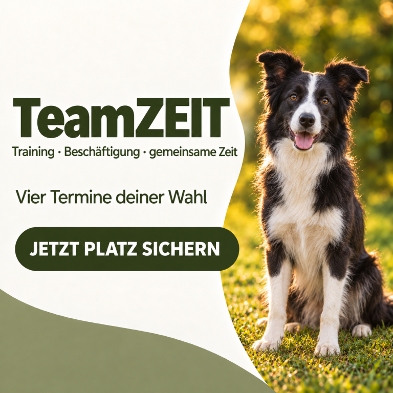 Schwarzer Hund an der Leine, daneben Text „Alltags Kompass“ und Anmeldeaufforderung.