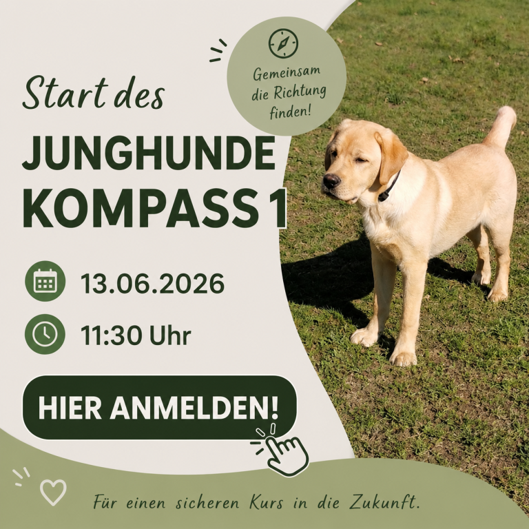 Start des Junghundkurses 1 am 13.06.2026 in Braunschweig