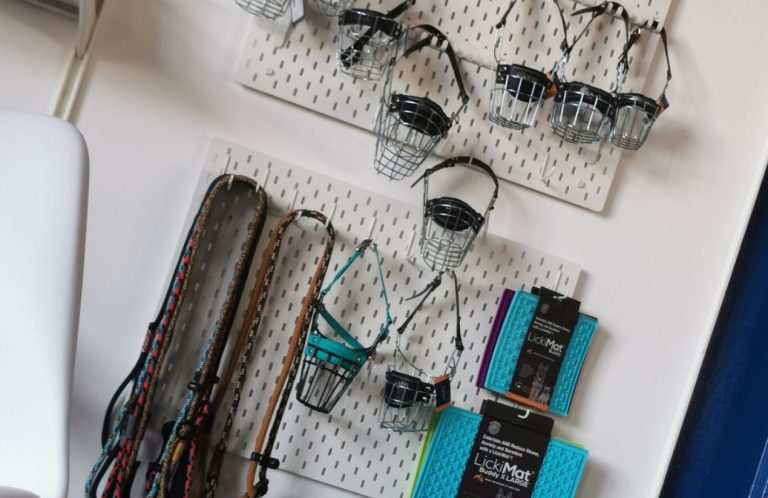 Hundezubehör im Canium Hundezentrum