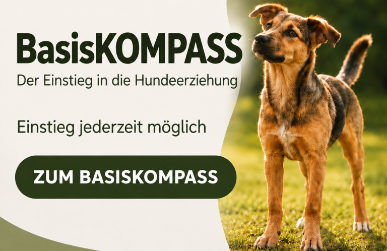 Anmeldung zum nächsten weiterführenden Junghundekurs in Braunschweig