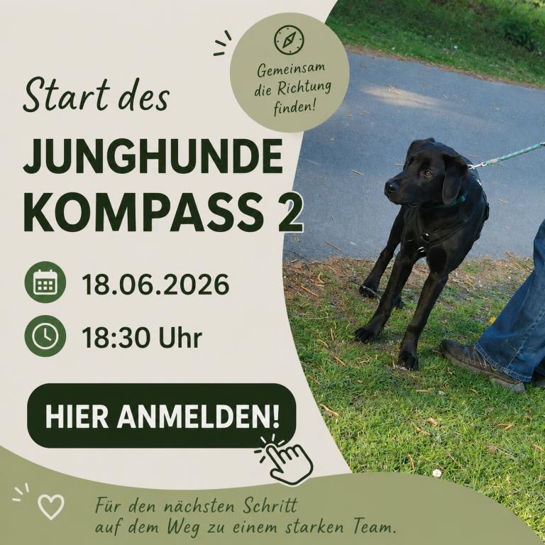 Start des Junghunde 2 Kurses am 18.06.2026 in Braunschweig