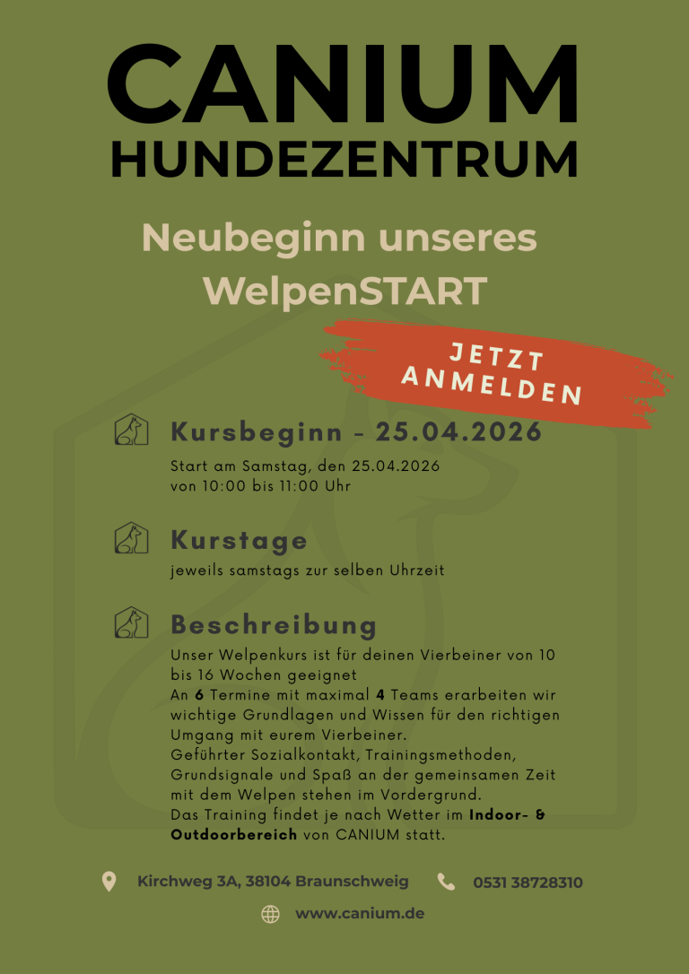 Welpenkurs im April 2026