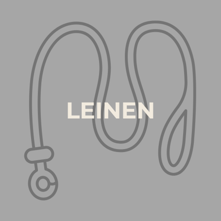 Hundeleine aus Biothane, Leder oder Paracord