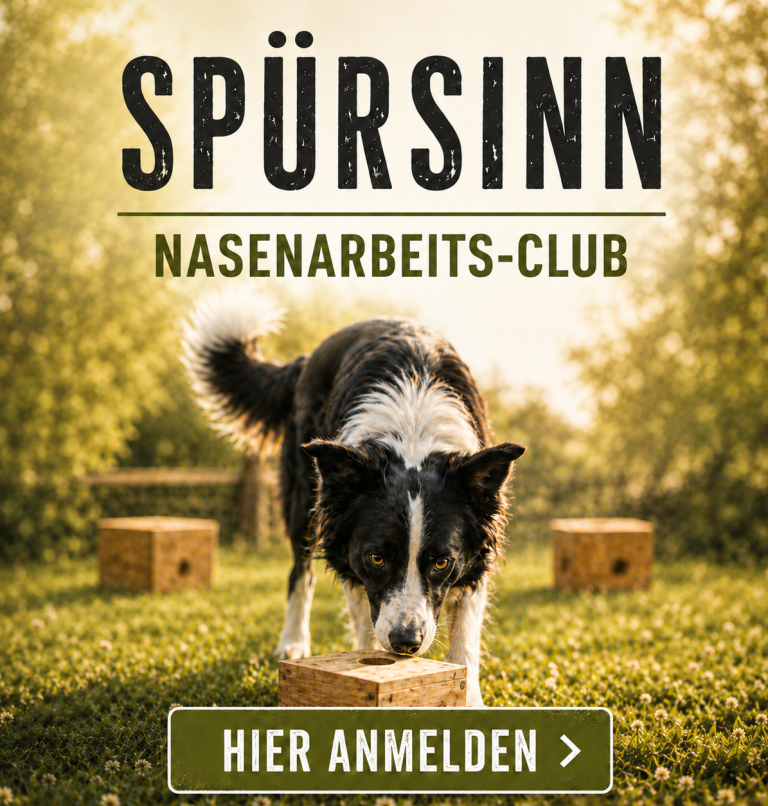 Ein Hund schnüffelt an einem Kasten im Freien, umgeben von Sonne und Gras.