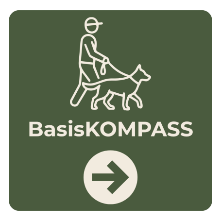 Ein Hundekurs für jedes Alter in Braunschweig