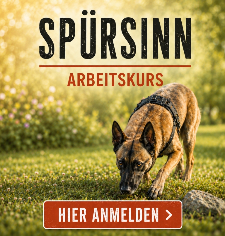 Ein Hund schnüffelt in einer grünen Umgebung mit dem Text "Spürsinn Arbeitskurs".