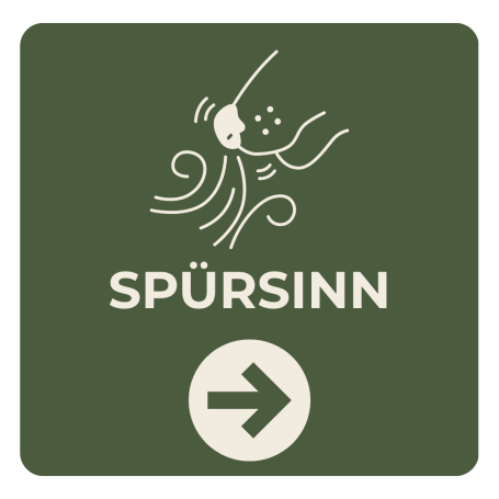 Ein Nasenarbeitskurs für deinen Vierbeiner