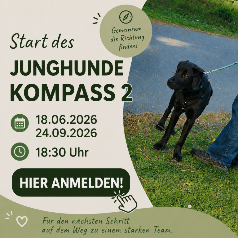 Anzeige für den Kurs "Junghunde Kompass 2" mit Daten und Anmeldelink.