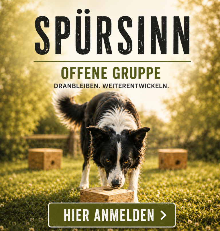 Ein Hund schnüffelt an einem Kasten im Freien, umgeben von Sonne und Gras.