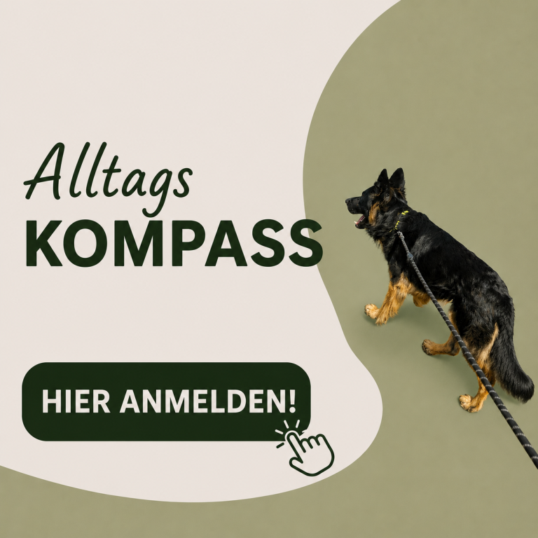 Schwarzer Schäferhund an der Leine mit dem Text "Alltags Kompass" und Anmeldeschaltfläche.