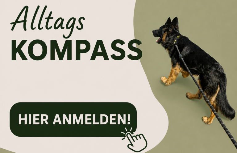 Anmeldung zu einer offenen Hundetrainingsgruppe in Braunschweig