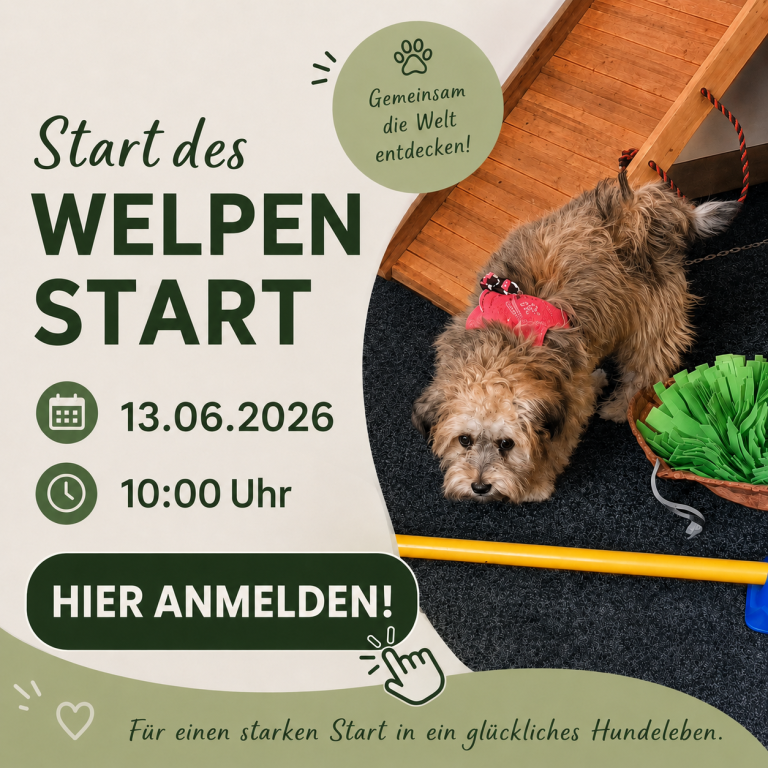 Neuer Welpenkurs am 13.06.2026