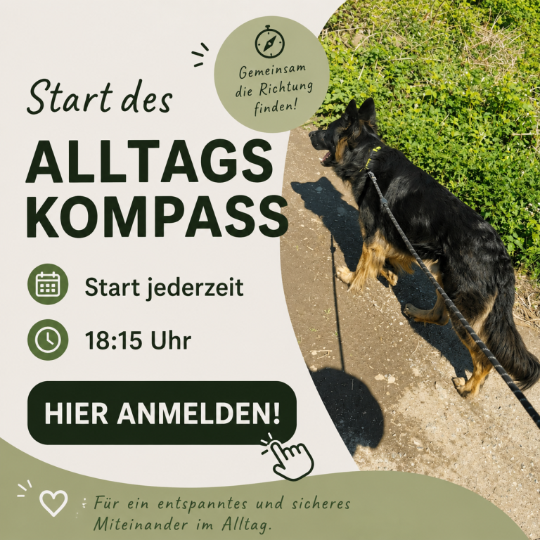 Offene Hundegruppe in Braunschweig