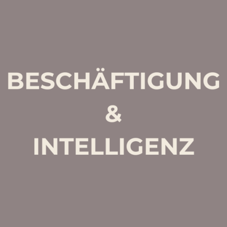Artikel für Beschäftigung und Intelligenz
