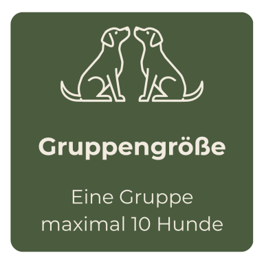 Zwei sitzende Hunde mit der Aufschrift "Gruppengröße: maximal 10 Hunde".