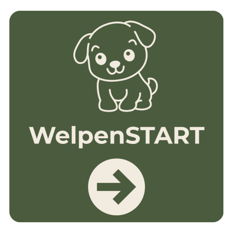 WelpenStart der Welpenkurs in Braunschweig