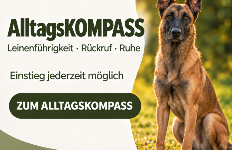 Anmeldung zu einer offenen Hundetrainingsgruppe in Braunschweig