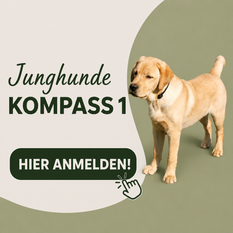 Start des nächsten Junghundekurs 1 in Braunschweig