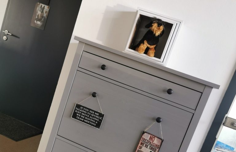 Tagesbetreuung in Braunschweig