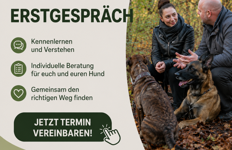 Buche dir dein Erstgespräch zum Einzeltraining