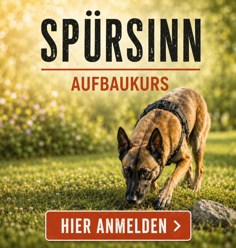 Ein Hund schnüffelt in einer grünen Umgebung mit dem Text "Spürsinn Aufbaulkurs".